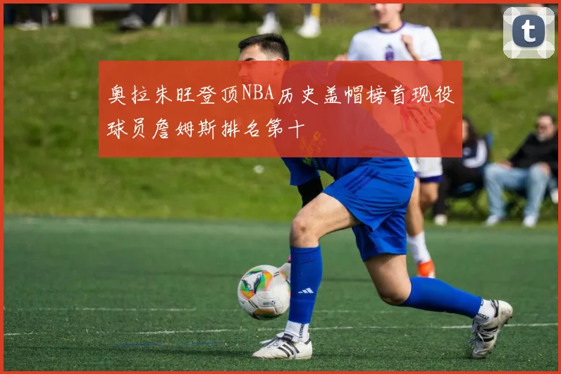 奥拉朱旺登顶NBA历史盖帽榜首现役球员詹姆斯排名第十